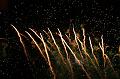 fireworks_025