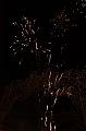 fireworks_095