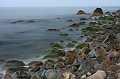 IMG_0339
