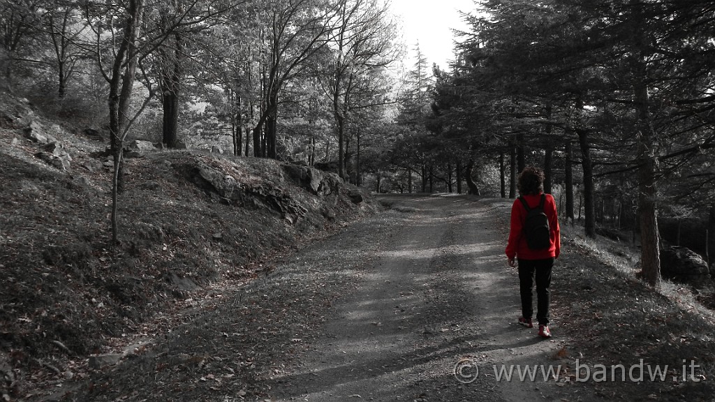 DSCN5736.JPG -                                