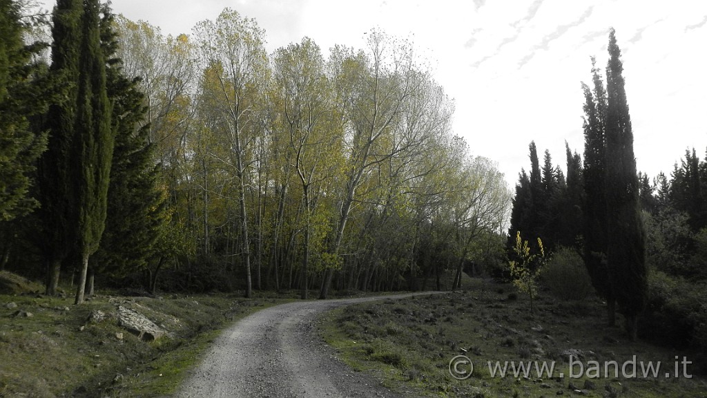 DSCN5769.JPG -                                