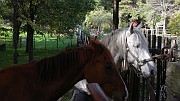 DSCN5719