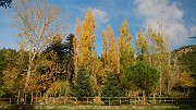 DSCN5724