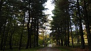 DSCN5726