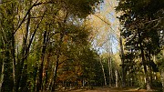 DSCN5729
