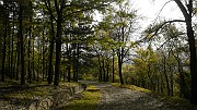DSCN5731