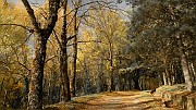 DSCN5733
