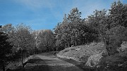 DSCN5735