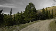 DSCN5738
