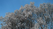 DSCN5739