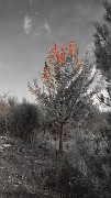 DSCN5742