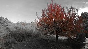 DSCN5743