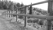 DSCN5744