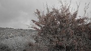 DSCN5751