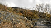 DSCN5752