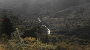 DSCN5761