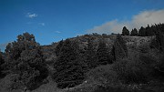 DSCN5763