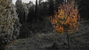 DSCN5765
