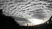 DSCN5767