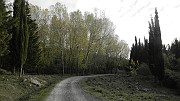 DSCN5769