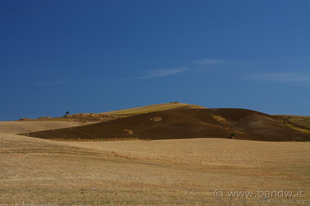 IMG_0581.JPG