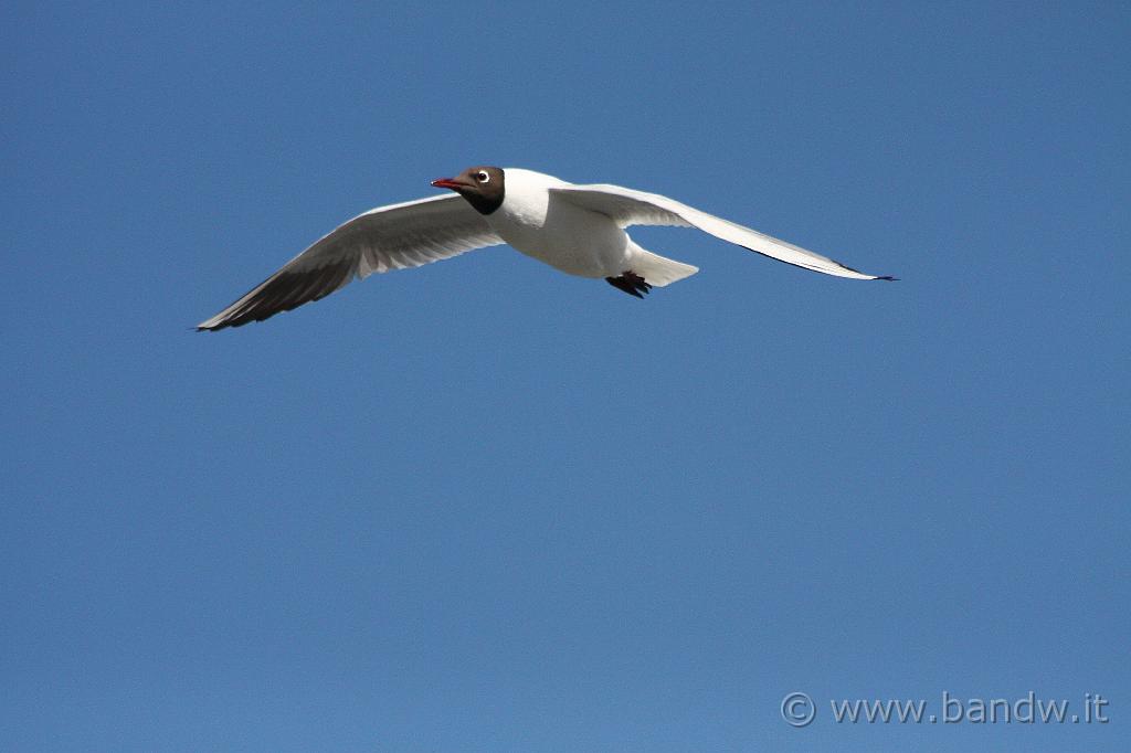 IMG_8916.JPG