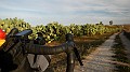 DSCN0059