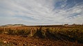 DSCN0061