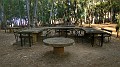 DSCN0082-01