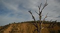 DSCN0083