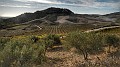 DSCN0096-01