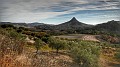 DSCN0097-01