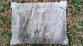 IMG20230823103137