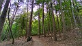 IMG20230823103421-01