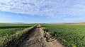 IMG_20240217_081852