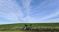 IMG_20240217_082234
