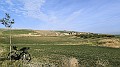 IMG_20240217_084249