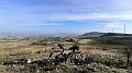 IMG_20240217_091631