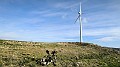 IMG_20240217_092050