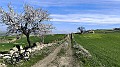 IMG_20240217_103745