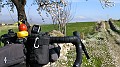 IMG_20240217_103805