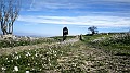 IMG_20240217_103934