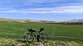 IMG_20240217_104524