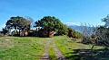 IMG20231212111110