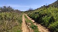 Cammino di san giacomo di sicilia (32)