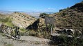 P_20220924_102603