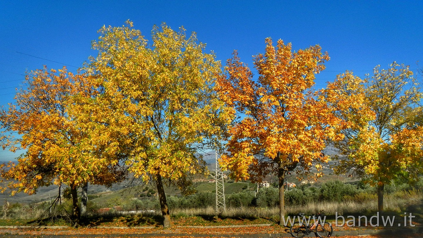DSCN9843-01.jpeg - Autunno ad Alimena
