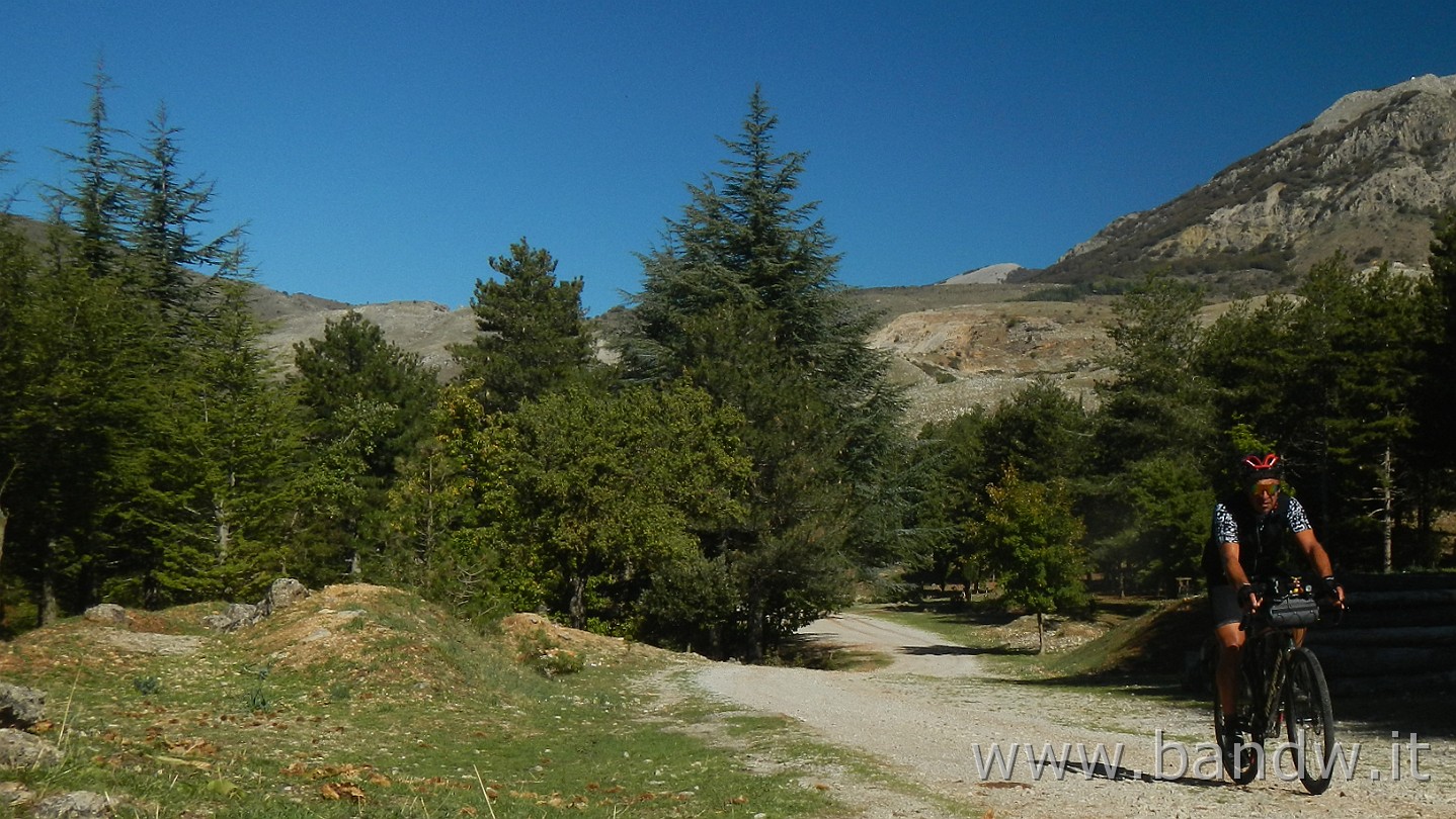 DSCN9852.JPG - Paesaggi lungo SP 119