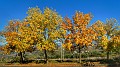 DSCN9843-01