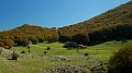 DSCN9863